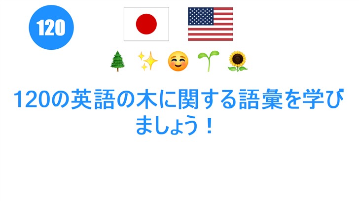 120の英語の木に関する語彙を学びましょう！